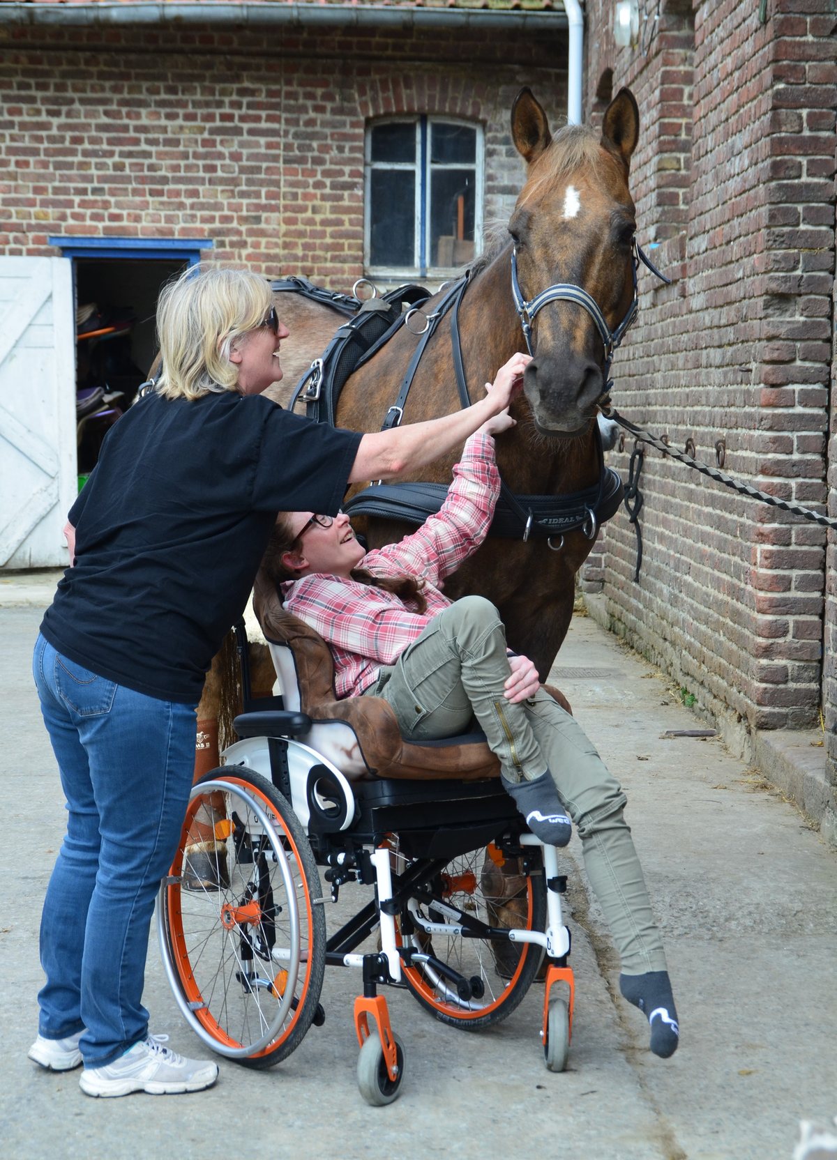 Une cavalière en fauteuil roulant caresse un cheval attelé